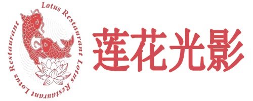 莲花光影,免费视频分享大全